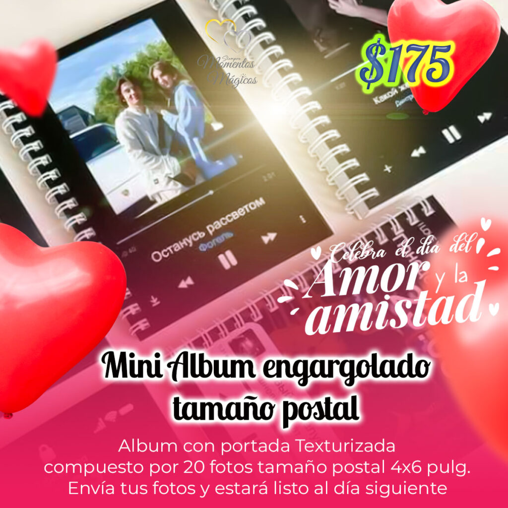 Mini Album